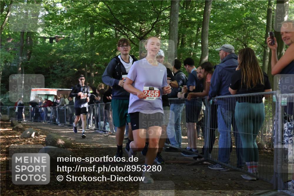 28.09.2025 - 33. Volkslauf durch das schöne Alstertal Strokosch-Dieckow http://msf.ph/oto/8953280 28.09.2025 12:30:16 Ziel 2096, 2097, 2245, 2456 meine-sportfotos.de