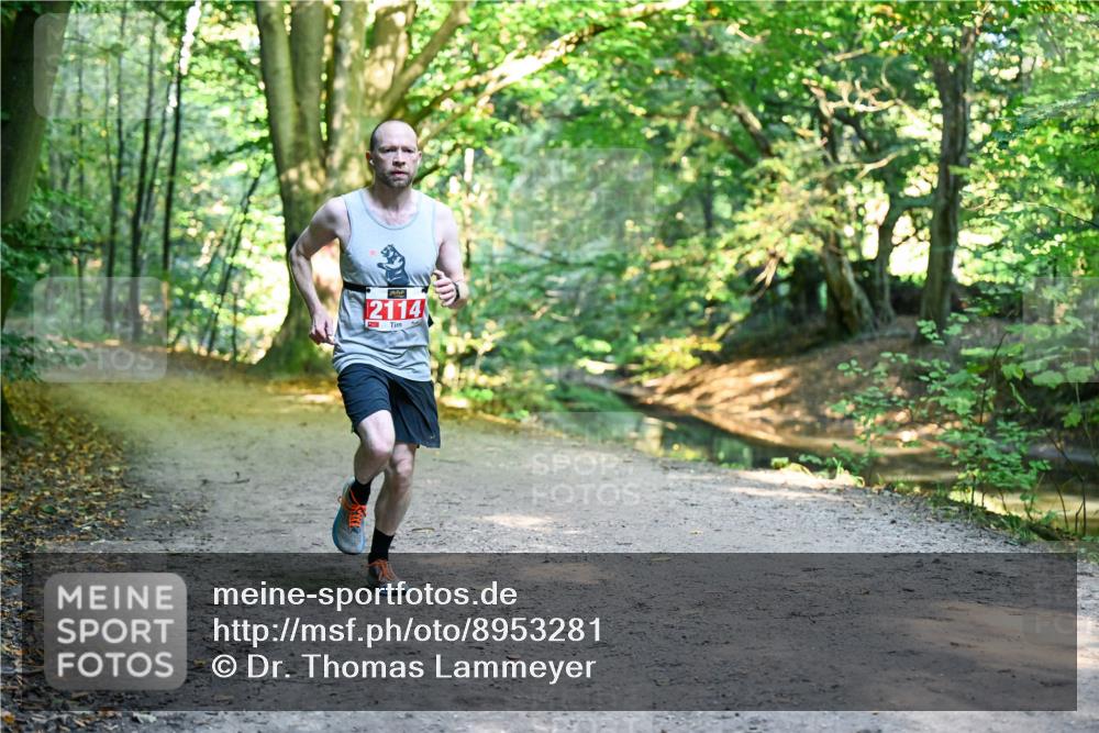 28.09.2025 - 33. Volkslauf durch das schöne Alstertal Dr. Thomas Lammeyer http://msf.ph/oto/8953281 28.09.2025 10:34:41 Laufen 2114 meine-sportfotos.de