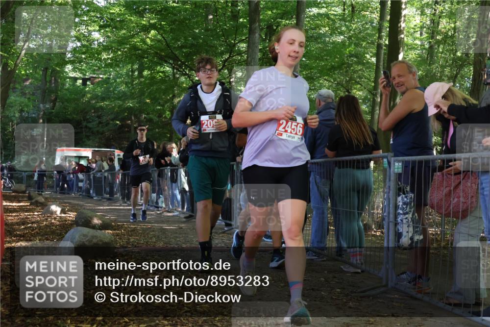 28.09.2025 - 33. Volkslauf durch das schöne Alstertal Strokosch-Dieckow http://msf.ph/oto/8953283 28.09.2025 12:30:16 Ziel 2096, 2097, 2245, 2456 meine-sportfotos.de