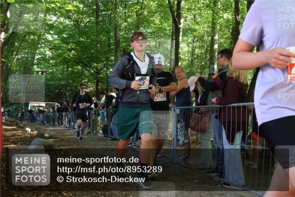 28.09.2025 - 33. Volkslauf durch das schöne Alstertal Strokosch-Dieckow http://msf.ph/oto/8953289 28.09.2025 12:30:17 Ziel 2245 meine-sportfotos.de