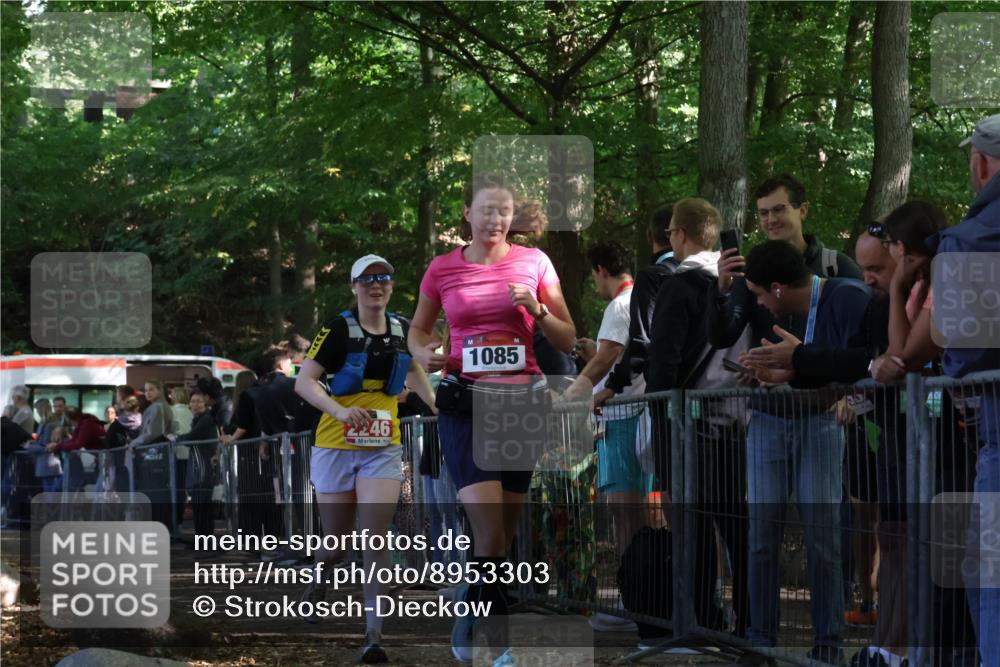 28.09.2025 - 33. Volkslauf durch das schöne Alstertal Strokosch-Dieckow http://msf.ph/oto/8953303 28.09.2025 12:30:29 Ziel 1085, 2246 meine-sportfotos.de