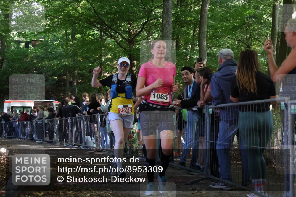 28.09.2025 - 33. Volkslauf durch das schöne Alstertal Strokosch-Dieckow http://msf.ph/oto/8953309 28.09.2025 12:30:30 Ziel 1085, 2246 meine-sportfotos.de