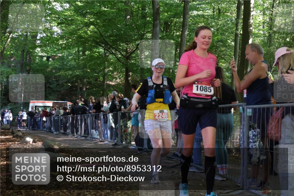 28.09.2025 - 33. Volkslauf durch das schöne Alstertal Strokosch-Dieckow http://msf.ph/oto/8953312 28.09.2025 12:30:31 Ziel 2246 meine-sportfotos.de