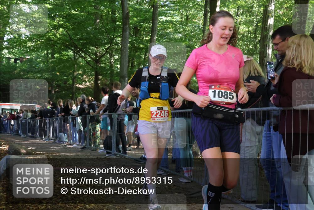 28.09.2025 - 33. Volkslauf durch das schöne Alstertal Strokosch-Dieckow http://msf.ph/oto/8953315 28.09.2025 12:30:32 Ziel  meine-sportfotos.de