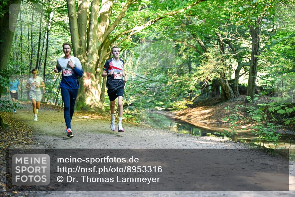 28.09.2025 - 33. Volkslauf durch das schöne Alstertal Dr. Thomas Lammeyer http://msf.ph/oto/8953316 28.09.2025 10:34:55 Laufen 2405, 2402, 2635 meine-sportfotos.de