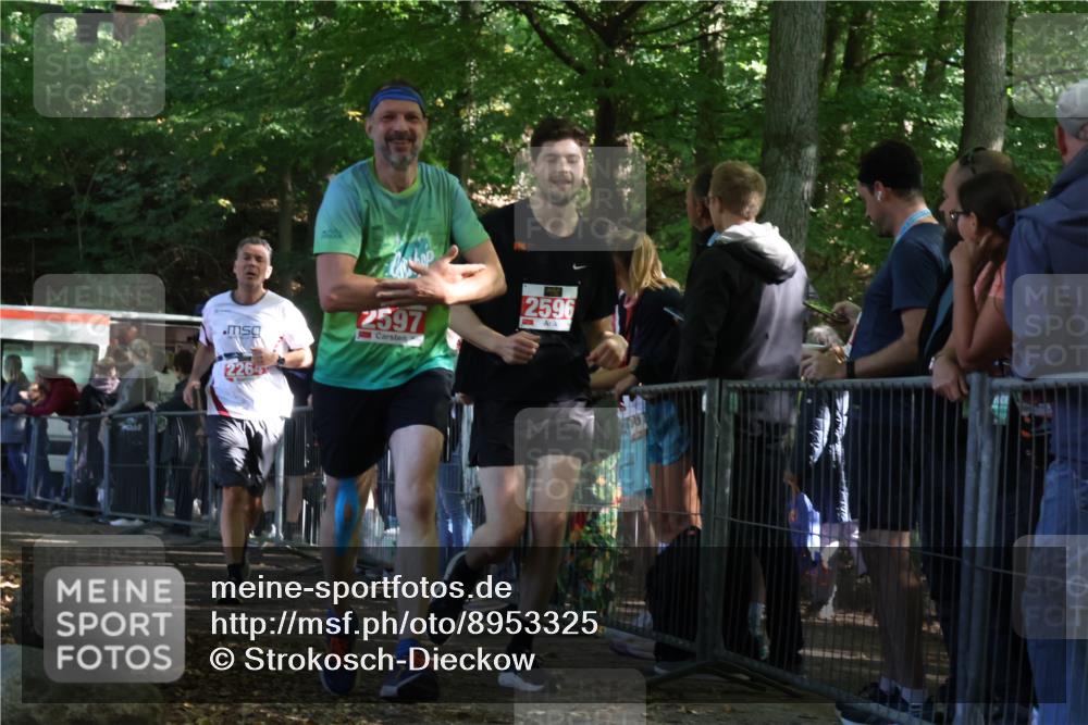 28.09.2025 - 33. Volkslauf durch das schöne Alstertal Strokosch-Dieckow http://msf.ph/oto/8953325 28.09.2025 12:30:43 Ziel 2264, 2596, 2597 meine-sportfotos.de
