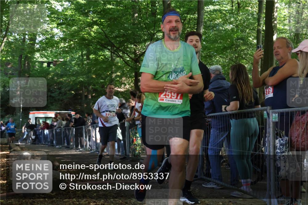 28.09.2025 - 33. Volkslauf durch das schöne Alstertal Strokosch-Dieckow http://msf.ph/oto/8953337 28.09.2025 12:30:45 Ziel 2264, 2596, 2597 meine-sportfotos.de