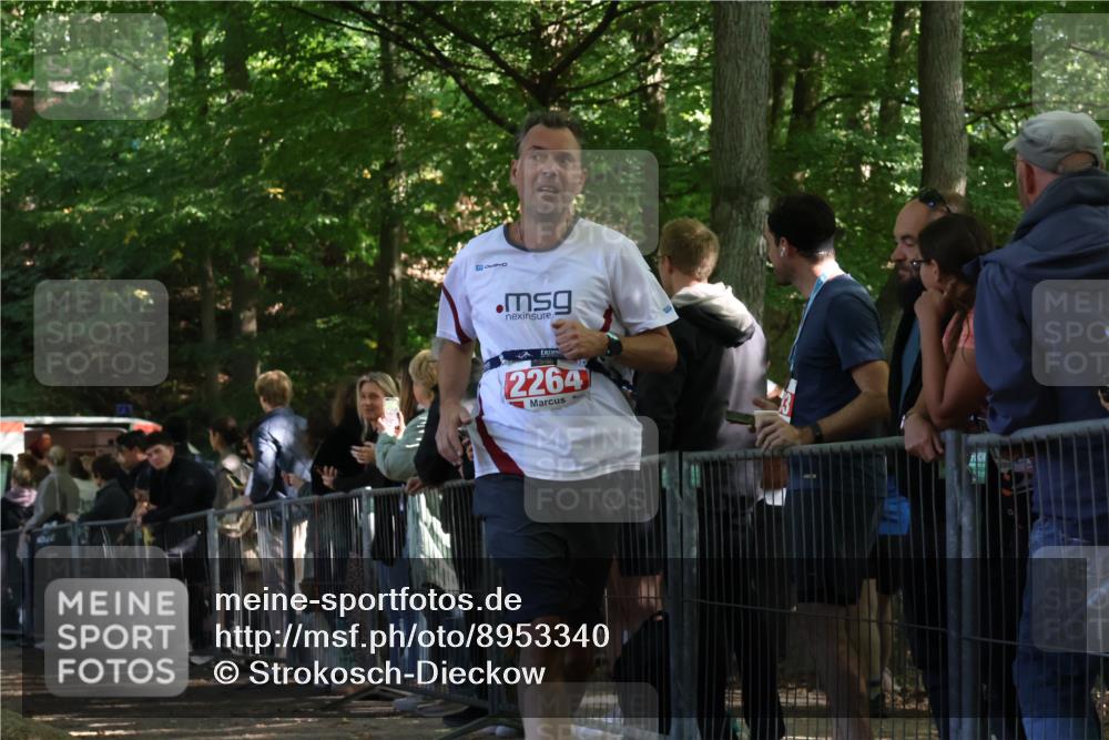 28.09.2025 - 33. Volkslauf durch das schöne Alstertal Strokosch-Dieckow http://msf.ph/oto/8953340 28.09.2025 12:30:46 Ziel 2042, 2045, 2264 meine-sportfotos.de