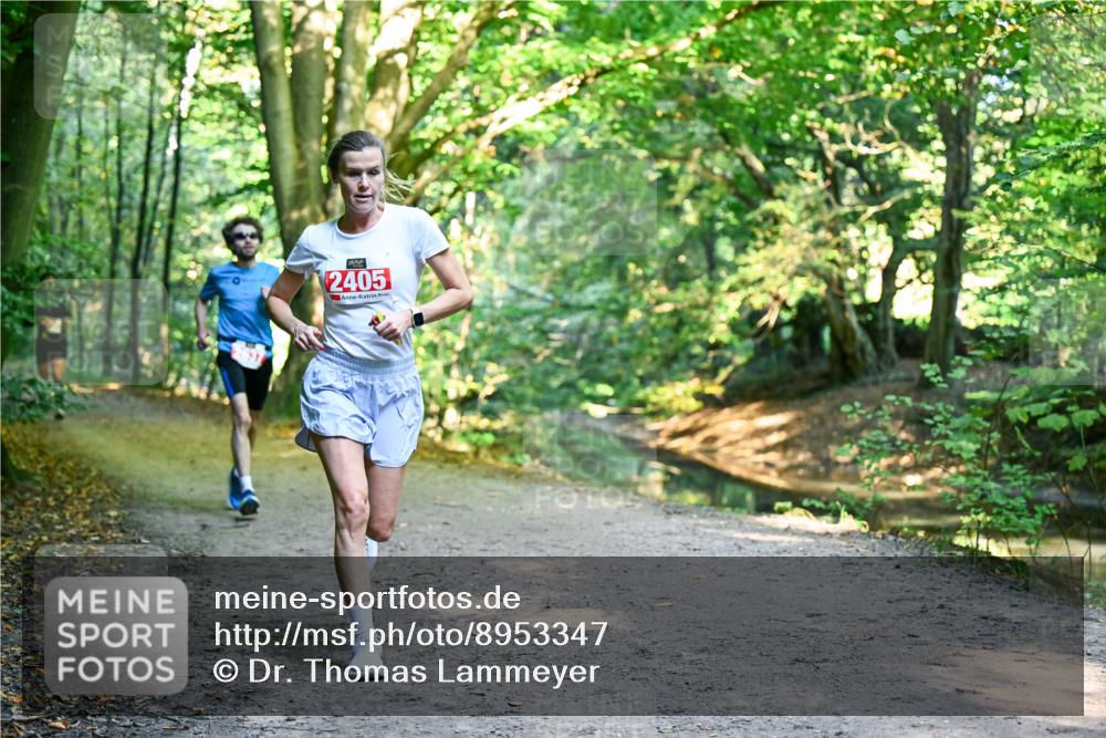 28.09.2025 - 33. Volkslauf durch das schöne Alstertal Dr. Thomas Lammeyer http://msf.ph/oto/8953347 28.09.2025 10:34:59 Laufen 2405 meine-sportfotos.de