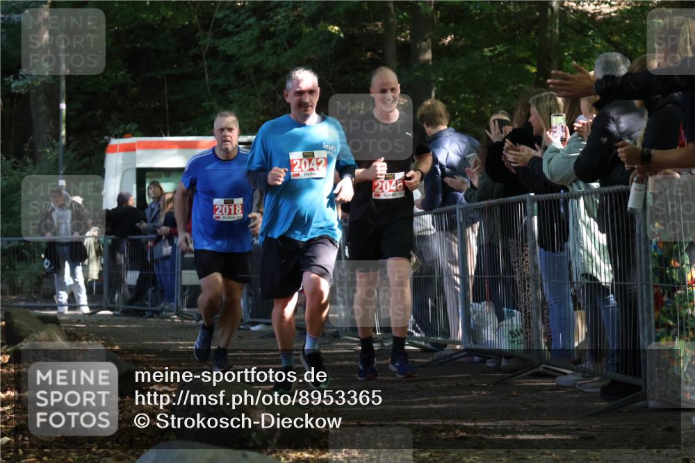 28.09.2025 - 33. Volkslauf durch das schöne Alstertal Strokosch-Dieckow http://msf.ph/oto/8953365 28.09.2025 12:30:52 Ziel 2018, 2042, 2045 meine-sportfotos.de
