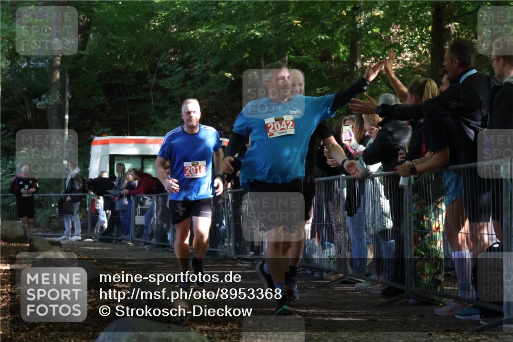 28.09.2025 - 33. Volkslauf durch das schöne Alstertal Strokosch-Dieckow http://msf.ph/oto/8953368 28.09.2025 12:30:54 Ziel 1706, 2018, 2042, 2045 meine-sportfotos.de
