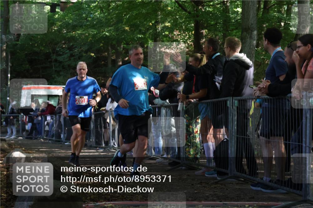 28.09.2025 - 33. Volkslauf durch das schöne Alstertal Strokosch-Dieckow http://msf.ph/oto/8953371 28.09.2025 12:30:54 Ziel 1706, 2018, 2042, 2045 meine-sportfotos.de