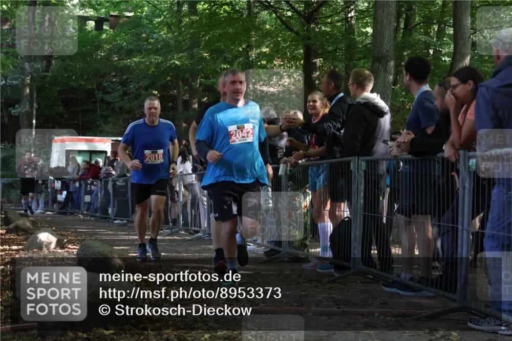 28.09.2025 - 33. Volkslauf durch das schöne Alstertal Strokosch-Dieckow http://msf.ph/oto/8953373 28.09.2025 12:30:54 Ziel 1706, 2018, 2042, 2045 meine-sportfotos.de