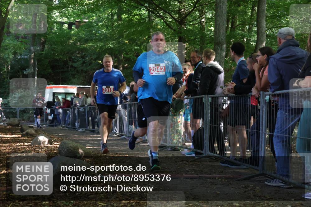 28.09.2025 - 33. Volkslauf durch das schöne Alstertal Strokosch-Dieckow http://msf.ph/oto/8953376 28.09.2025 12:30:55 Ziel 1706, 2018, 2042, 2045, 2274 meine-sportfotos.de