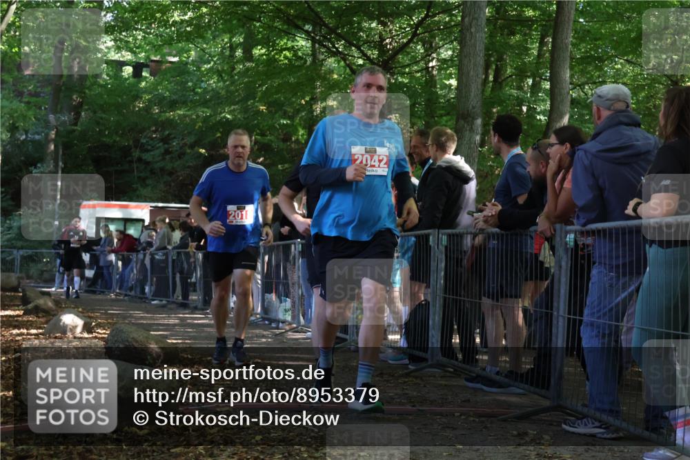 28.09.2025 - 33. Volkslauf durch das schöne Alstertal Strokosch-Dieckow http://msf.ph/oto/8953379 28.09.2025 12:30:55 Ziel 1706, 2018, 2042, 2045, 2274 meine-sportfotos.de