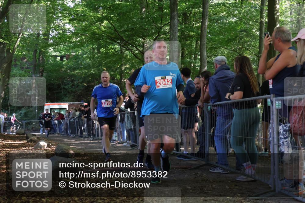 28.09.2025 - 33. Volkslauf durch das schöne Alstertal Strokosch-Dieckow http://msf.ph/oto/8953382 28.09.2025 12:30:56 Ziel 1706, 2018, 2042, 2045, 2274 meine-sportfotos.de