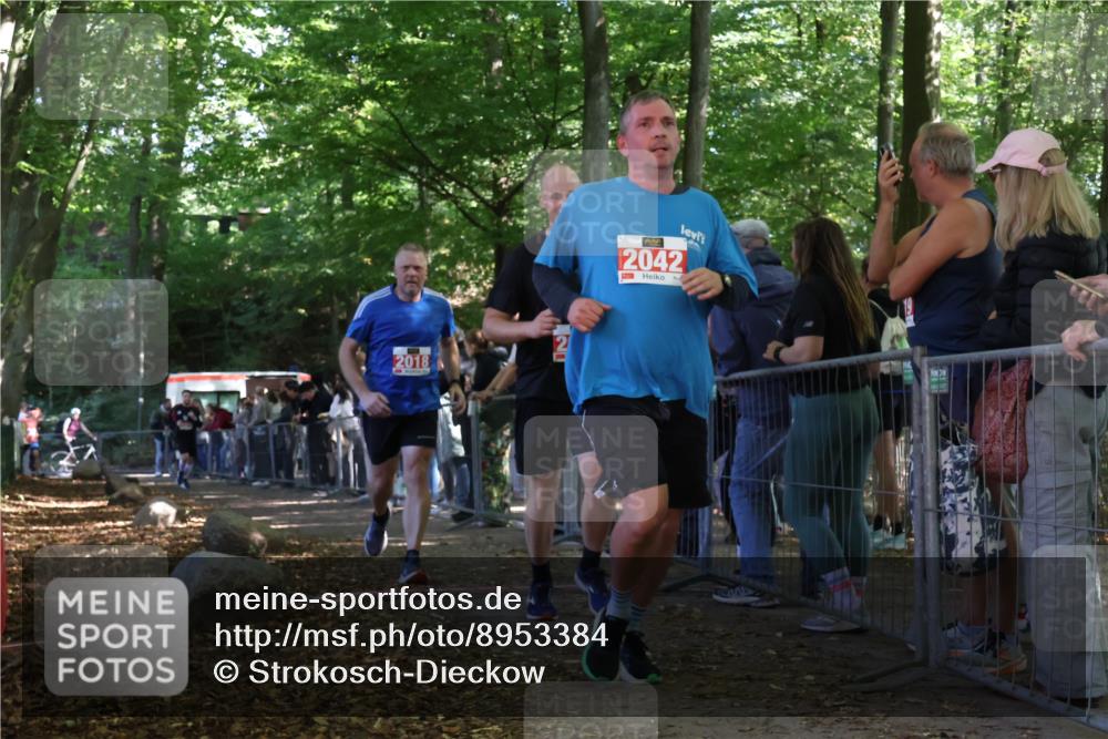 28.09.2025 - 33. Volkslauf durch das schöne Alstertal Strokosch-Dieckow http://msf.ph/oto/8953384 28.09.2025 12:30:56 Ziel 1706, 2018, 2042, 2045, 2274 meine-sportfotos.de