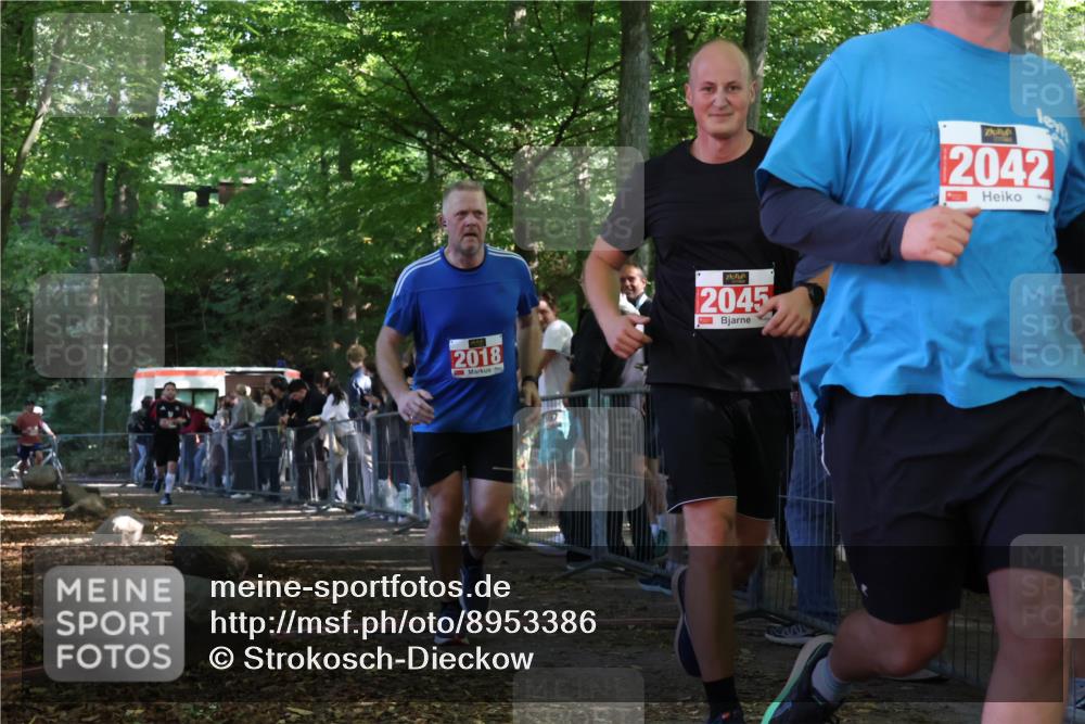 28.09.2025 - 33. Volkslauf durch das schöne Alstertal Strokosch-Dieckow http://msf.ph/oto/8953386 28.09.2025 12:30:57 Ziel 1706, 2018, 2274 meine-sportfotos.de