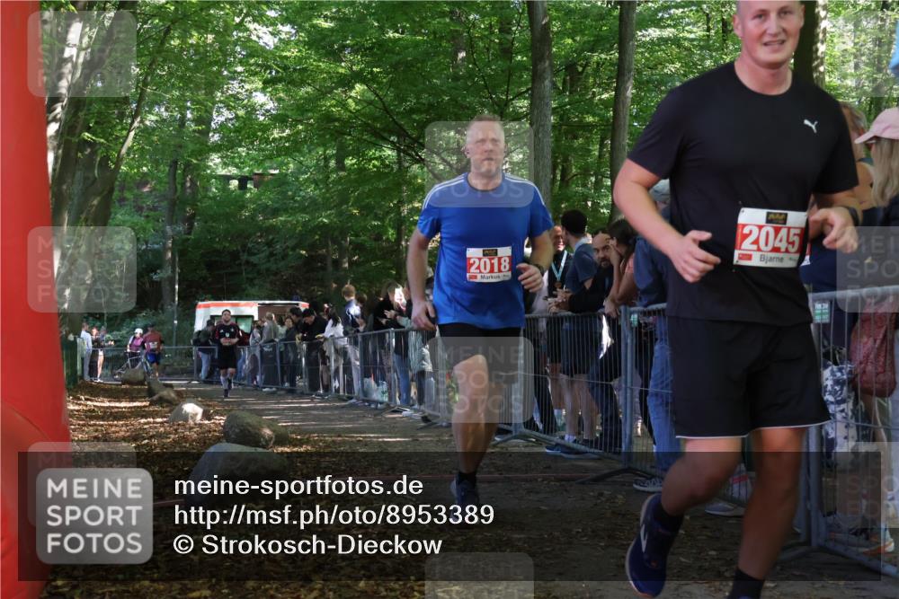 28.09.2025 - 33. Volkslauf durch das schöne Alstertal Strokosch-Dieckow http://msf.ph/oto/8953389 28.09.2025 12:30:57 Ziel 1706, 2018, 2274 meine-sportfotos.de