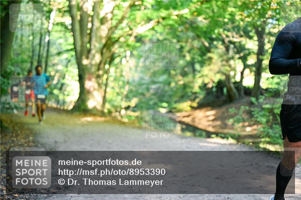 28.09.2025 - 33. Volkslauf durch das schöne Alstertal Dr. Thomas Lammeyer http://msf.ph/oto/8953390 28.09.2025 10:35:05 Laufen  meine-sportfotos.de