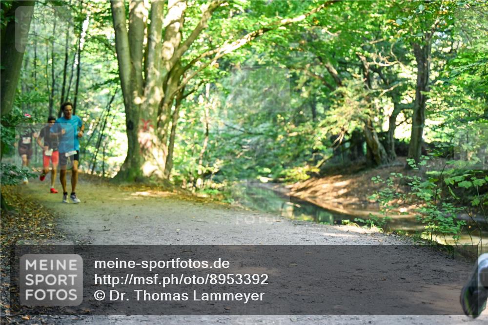 28.09.2025 - 33. Volkslauf durch das schöne Alstertal Dr. Thomas Lammeyer http://msf.ph/oto/8953392 28.09.2025 10:35:05 Laufen  meine-sportfotos.de