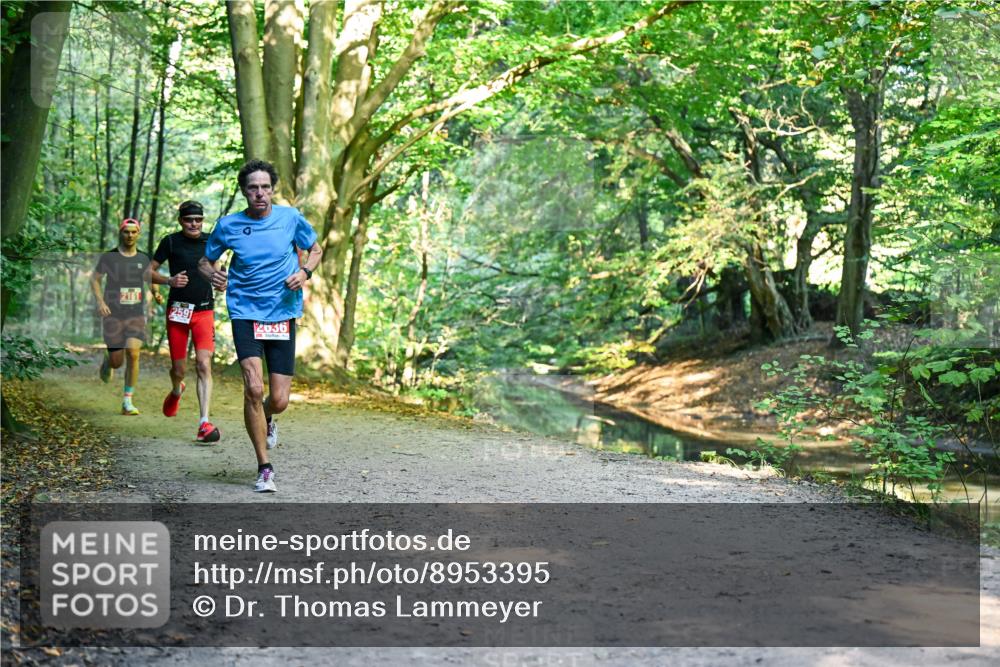 28.09.2025 - 33. Volkslauf durch das schöne Alstertal Dr. Thomas Lammeyer http://msf.ph/oto/8953395 28.09.2025 10:35:07 Laufen 2161, 2591, 2636 meine-sportfotos.de