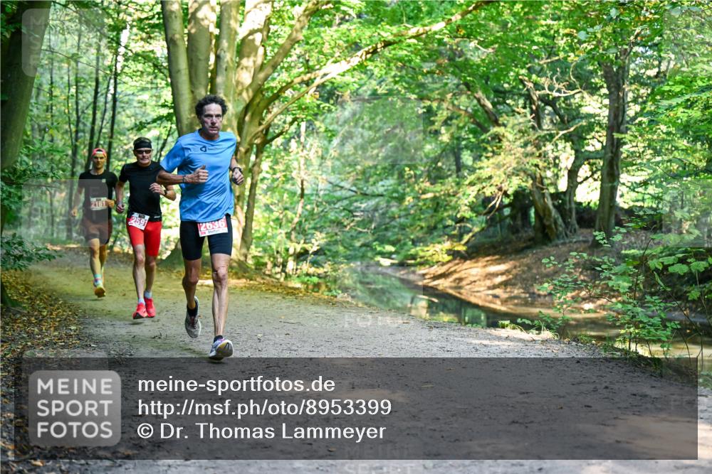 28.09.2025 - 33. Volkslauf durch das schöne Alstertal Dr. Thomas Lammeyer http://msf.ph/oto/8953399 28.09.2025 10:35:07 Laufen 2161, 2591, 2636 meine-sportfotos.de