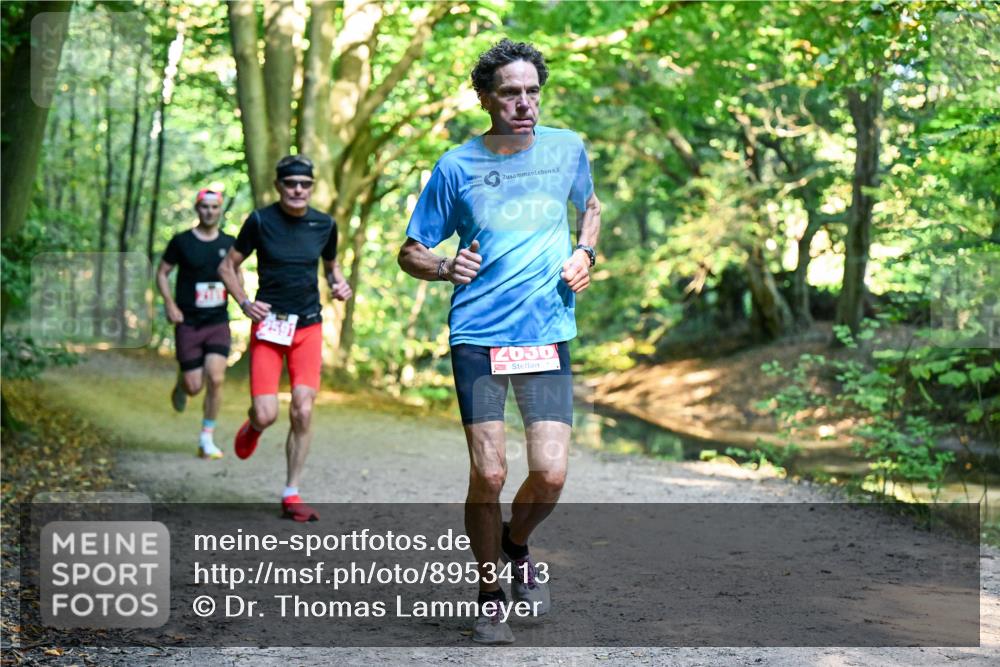 28.09.2025 - 33. Volkslauf durch das schöne Alstertal Dr. Thomas Lammeyer http://msf.ph/oto/8953413 28.09.2025 10:35:09 Laufen 2036 meine-sportfotos.de