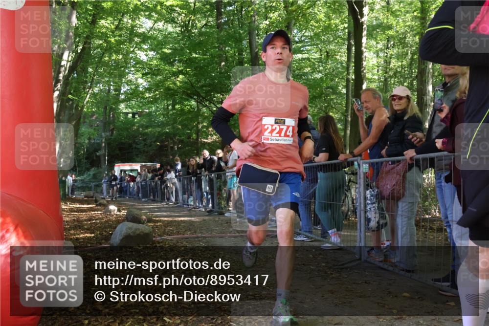28.09.2025 - 33. Volkslauf durch das schöne Alstertal Strokosch-Dieckow http://msf.ph/oto/8953417 28.09.2025 12:31:06 Ziel 2352 meine-sportfotos.de