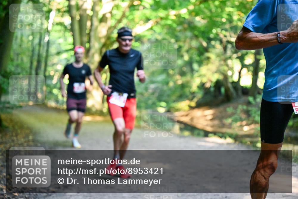 28.09.2025 - 33. Volkslauf durch das schöne Alstertal Dr. Thomas Lammeyer http://msf.ph/oto/8953421 28.09.2025 10:35:09 Laufen  meine-sportfotos.de