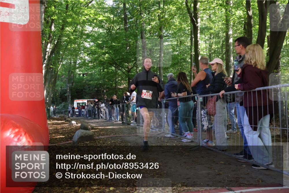 28.09.2025 - 33. Volkslauf durch das schöne Alstertal Strokosch-Dieckow http://msf.ph/oto/8953426 28.09.2025 12:31:13 Ziel 2352 meine-sportfotos.de