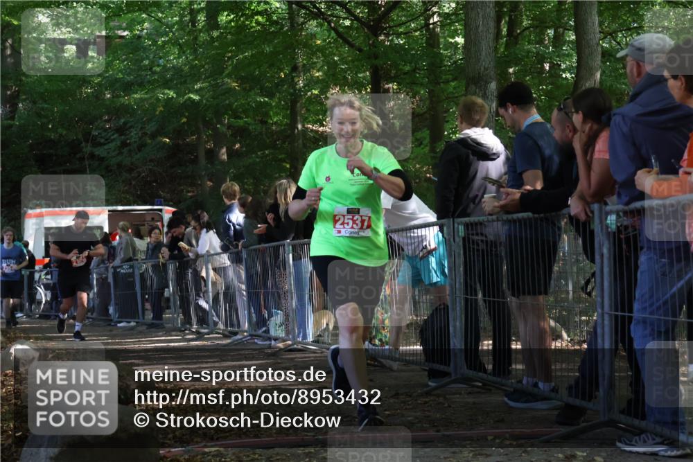 28.09.2025 - 33. Volkslauf durch das schöne Alstertal Strokosch-Dieckow http://msf.ph/oto/8953432 28.09.2025 12:31:33 Ziel 2176, 2354, 2493, 2537 meine-sportfotos.de