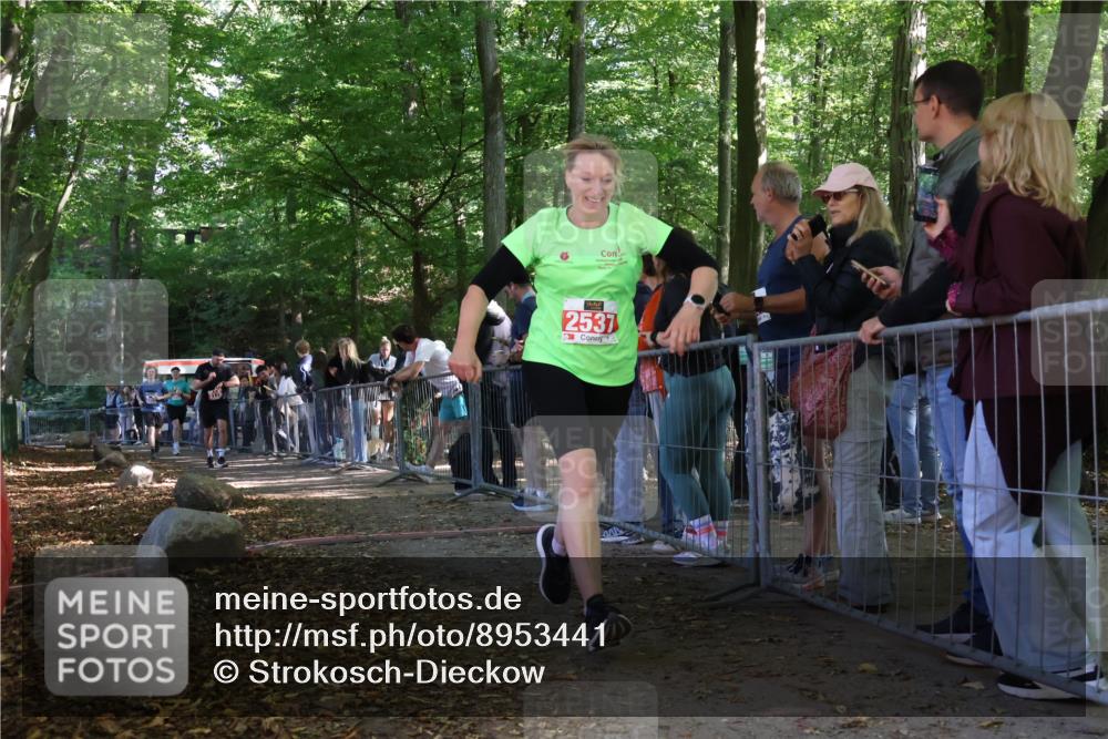28.09.2025 - 33. Volkslauf durch das schöne Alstertal Strokosch-Dieckow http://msf.ph/oto/8953441 28.09.2025 12:31:35 Ziel 2176, 2354, 2493 meine-sportfotos.de