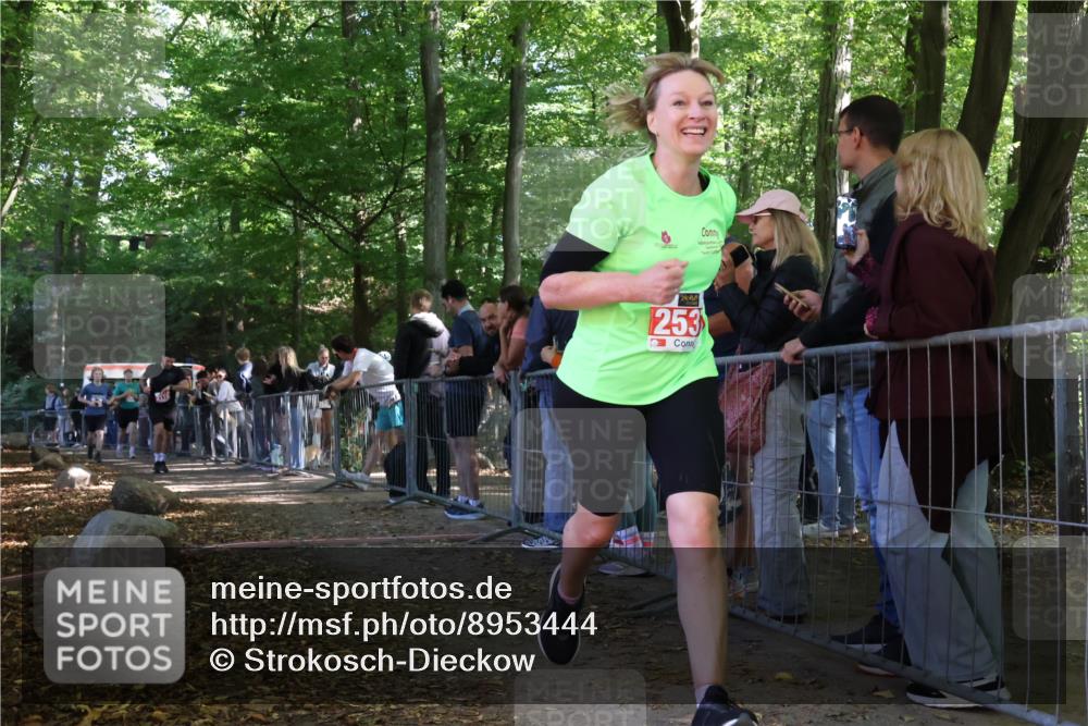 28.09.2025 - 33. Volkslauf durch das schöne Alstertal Strokosch-Dieckow http://msf.ph/oto/8953444 28.09.2025 12:31:35 Ziel 2176, 2354, 2493 meine-sportfotos.de