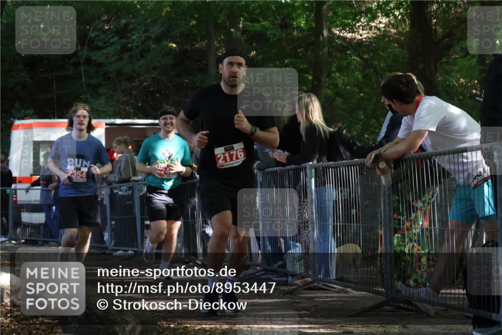 28.09.2025 - 33. Volkslauf durch das schöne Alstertal Strokosch-Dieckow http://msf.ph/oto/8953447 28.09.2025 12:31:37 Ziel 2176, 2354, 2493 meine-sportfotos.de
