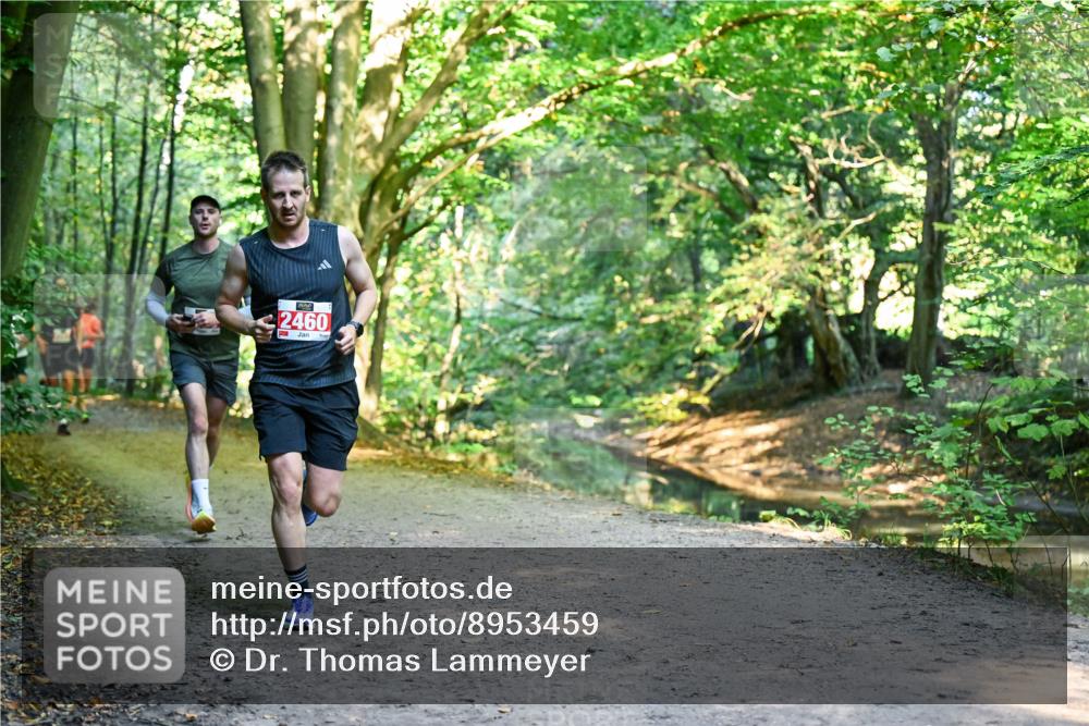 28.09.2025 - 33. Volkslauf durch das schöne Alstertal Dr. Thomas Lammeyer http://msf.ph/oto/8953459 28.09.2025 10:35:41 Laufen 2460 meine-sportfotos.de