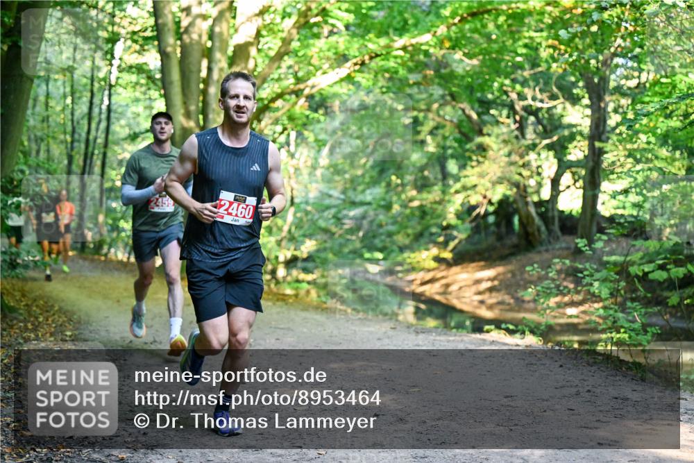 28.09.2025 - 33. Volkslauf durch das schöne Alstertal Dr. Thomas Lammeyer http://msf.ph/oto/8953464 28.09.2025 10:35:41 Laufen 2460 meine-sportfotos.de