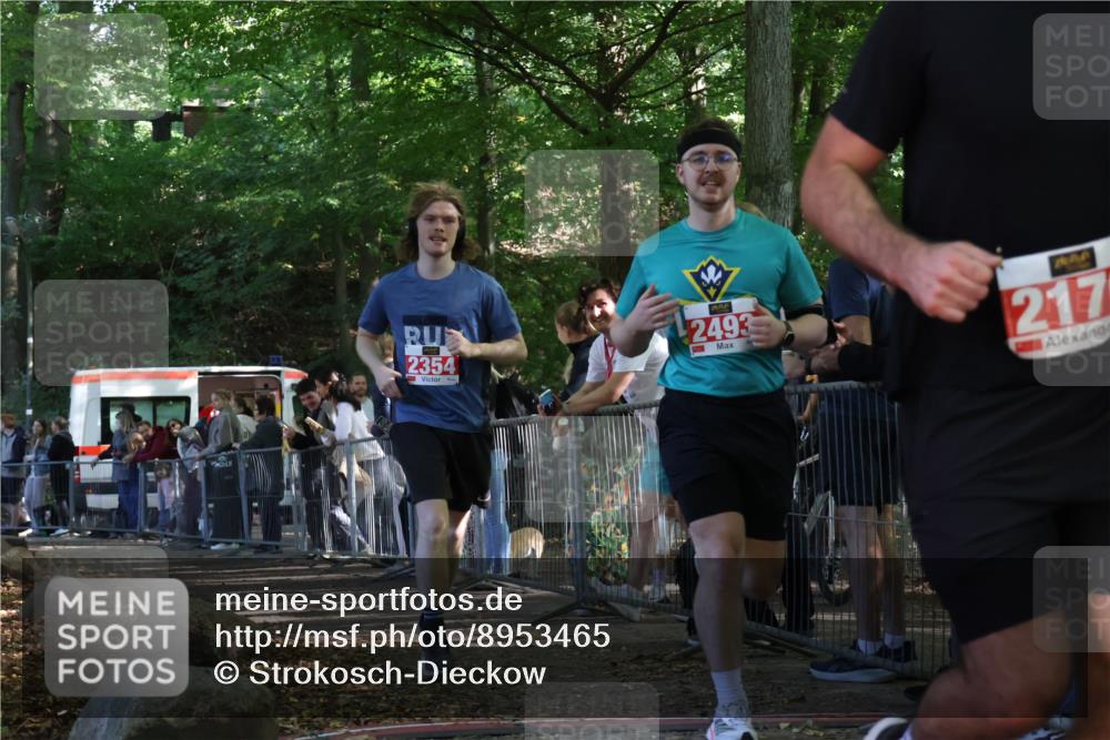 28.09.2025 - 33. Volkslauf durch das schöne Alstertal Strokosch-Dieckow http://msf.ph/oto/8953465 28.09.2025 12:31:41 Ziel 2354, 2493 meine-sportfotos.de