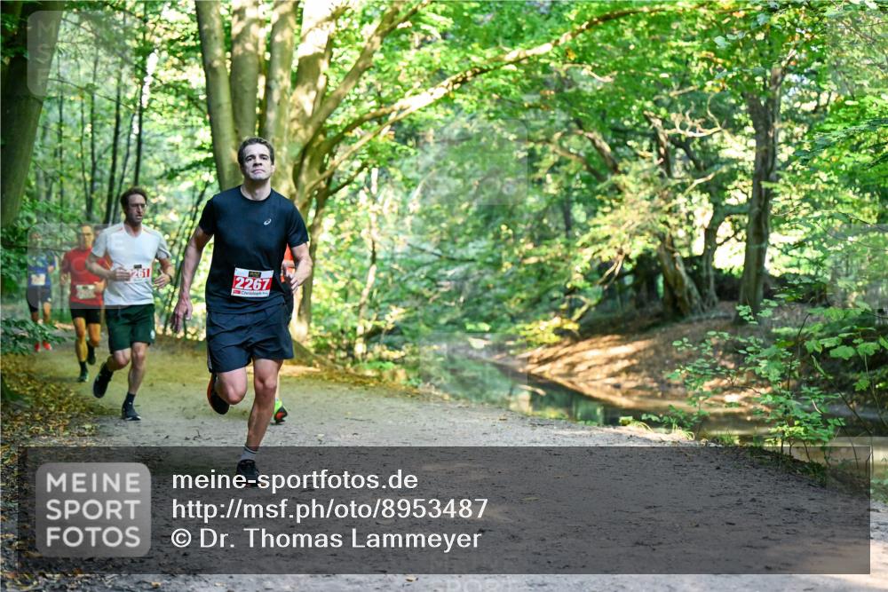 28.09.2025 - 33. Volkslauf durch das schöne Alstertal Dr. Thomas Lammeyer http://msf.ph/oto/8953487 28.09.2025 10:35:45 Laufen 261, 2267 meine-sportfotos.de