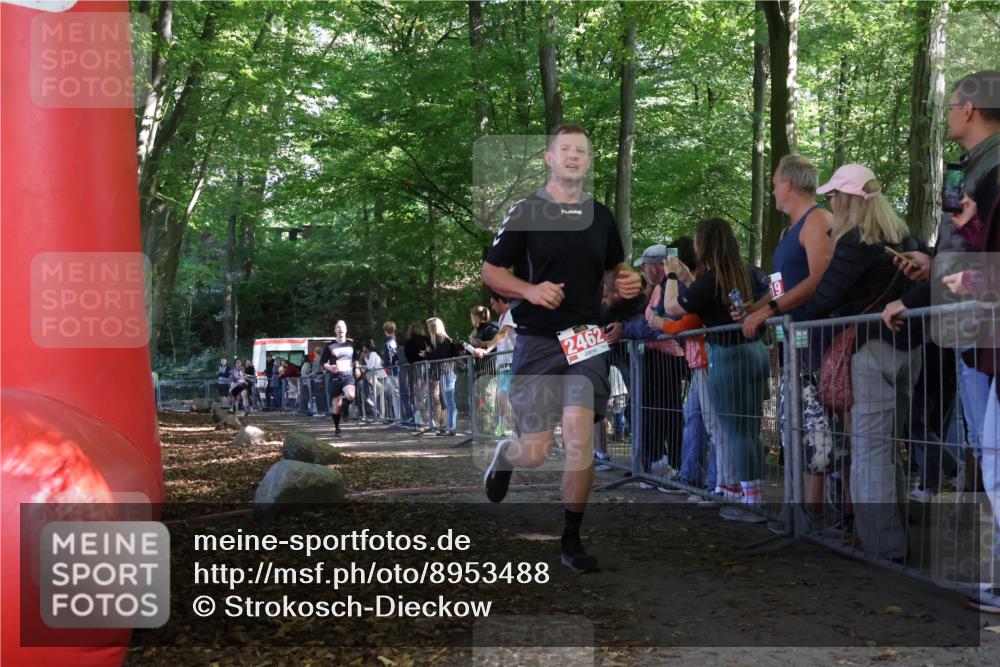 28.09.2025 - 33. Volkslauf durch das schöne Alstertal Strokosch-Dieckow http://msf.ph/oto/8953488 28.09.2025 12:32:09 Ziel 2101, 2329 meine-sportfotos.de