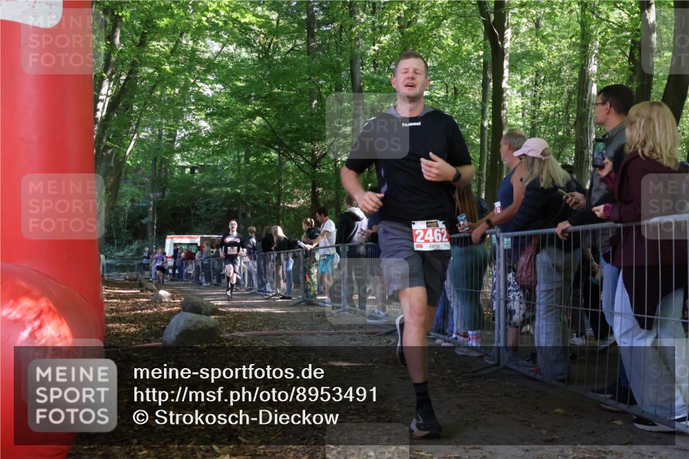 28.09.2025 - 33. Volkslauf durch das schöne Alstertal Strokosch-Dieckow http://msf.ph/oto/8953491 28.09.2025 12:32:09 Ziel 2101, 2329 meine-sportfotos.de