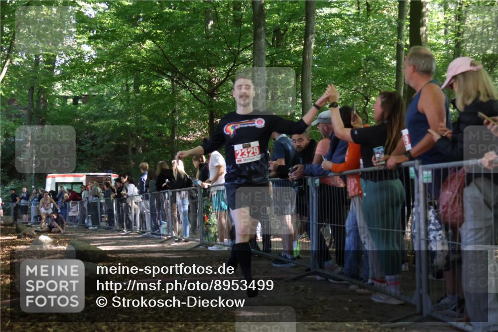 28.09.2025 - 33. Volkslauf durch das schöne Alstertal Strokosch-Dieckow http://msf.ph/oto/8953499 28.09.2025 12:32:11 Ziel 2101, 2329 meine-sportfotos.de