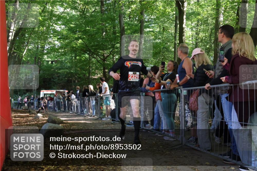 28.09.2025 - 33. Volkslauf durch das schöne Alstertal Strokosch-Dieckow http://msf.ph/oto/8953502 28.09.2025 12:32:12 Ziel 2101, 2329 meine-sportfotos.de