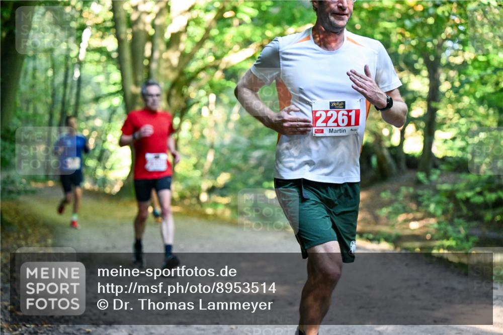 28.09.2025 - 33. Volkslauf durch das schöne Alstertal Dr. Thomas Lammeyer http://msf.ph/oto/8953514 28.09.2025 10:35:48 Laufen 2261 meine-sportfotos.de
