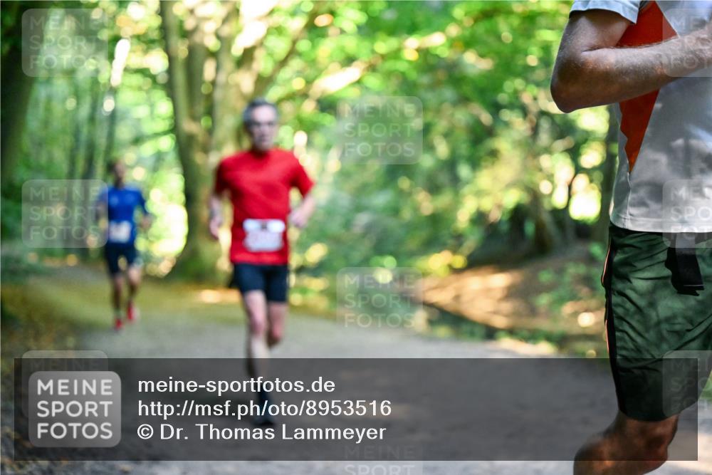 28.09.2025 - 33. Volkslauf durch das schöne Alstertal Dr. Thomas Lammeyer http://msf.ph/oto/8953516 28.09.2025 10:35:49 Laufen  meine-sportfotos.de