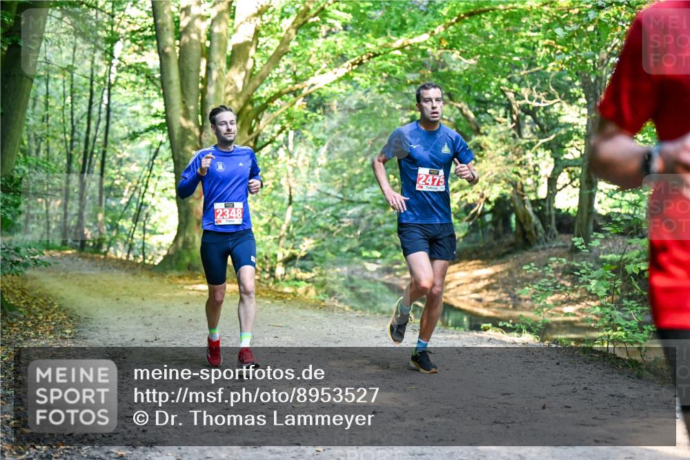 28.09.2025 - 33. Volkslauf durch das schöne Alstertal Dr. Thomas Lammeyer http://msf.ph/oto/8953527 28.09.2025 10:35:50 Laufen 2348, 2475 meine-sportfotos.de
