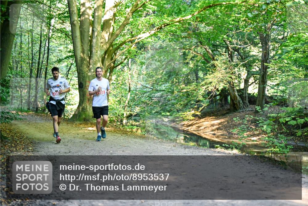 28.09.2025 - 33. Volkslauf durch das schöne Alstertal Dr. Thomas Lammeyer http://msf.ph/oto/8953537 28.09.2025 10:35:57 Laufen 358 meine-sportfotos.de