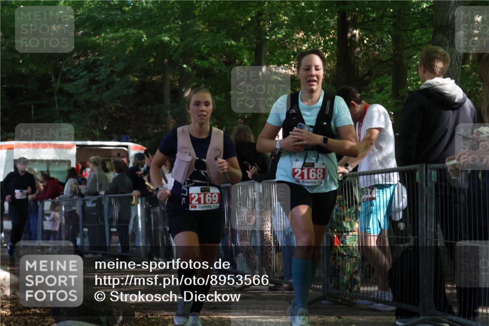 28.09.2025 - 33. Volkslauf durch das schöne Alstertal Strokosch-Dieckow http://msf.ph/oto/8953566 28.09.2025 12:32:44 Ziel 2168, 2169, 2603 meine-sportfotos.de