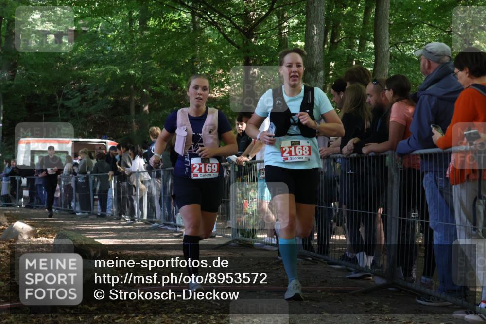 28.09.2025 - 33. Volkslauf durch das schöne Alstertal Strokosch-Dieckow http://msf.ph/oto/8953572 28.09.2025 12:32:45 Ziel 2168, 2169, 2603 meine-sportfotos.de