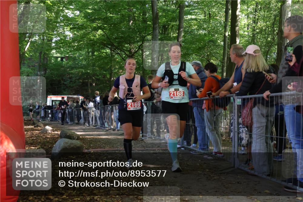 28.09.2025 - 33. Volkslauf durch das schöne Alstertal Strokosch-Dieckow http://msf.ph/oto/8953577 28.09.2025 12:32:46 Ziel 2169, 2603, 2992 meine-sportfotos.de